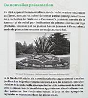 11 - Les plantes d'ornement au 19e (2).jpg